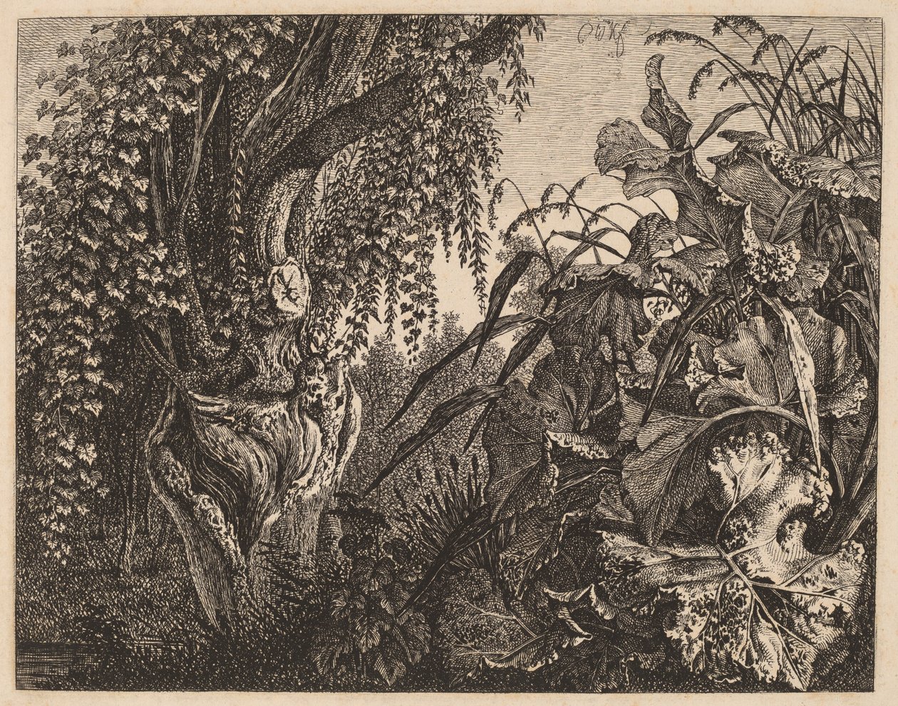 Um Arvoredo; um salgueiro retorcido à esquerda, um matagal de vegetação à direita de Carl Wilhelm Kolbe