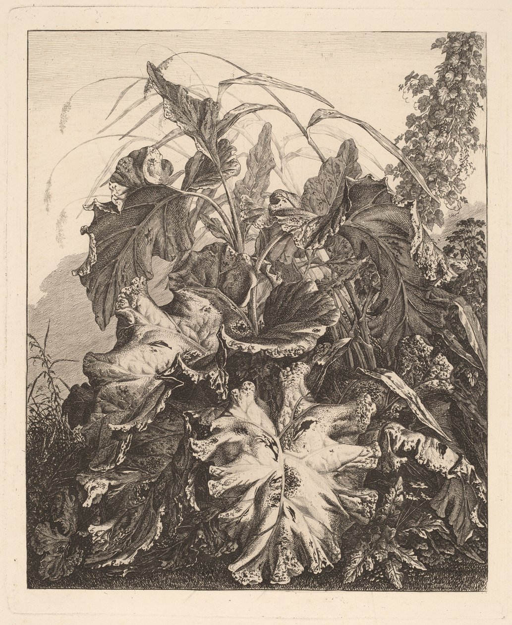 Folhagem com juncos de Carl Wilhelm Kolbe