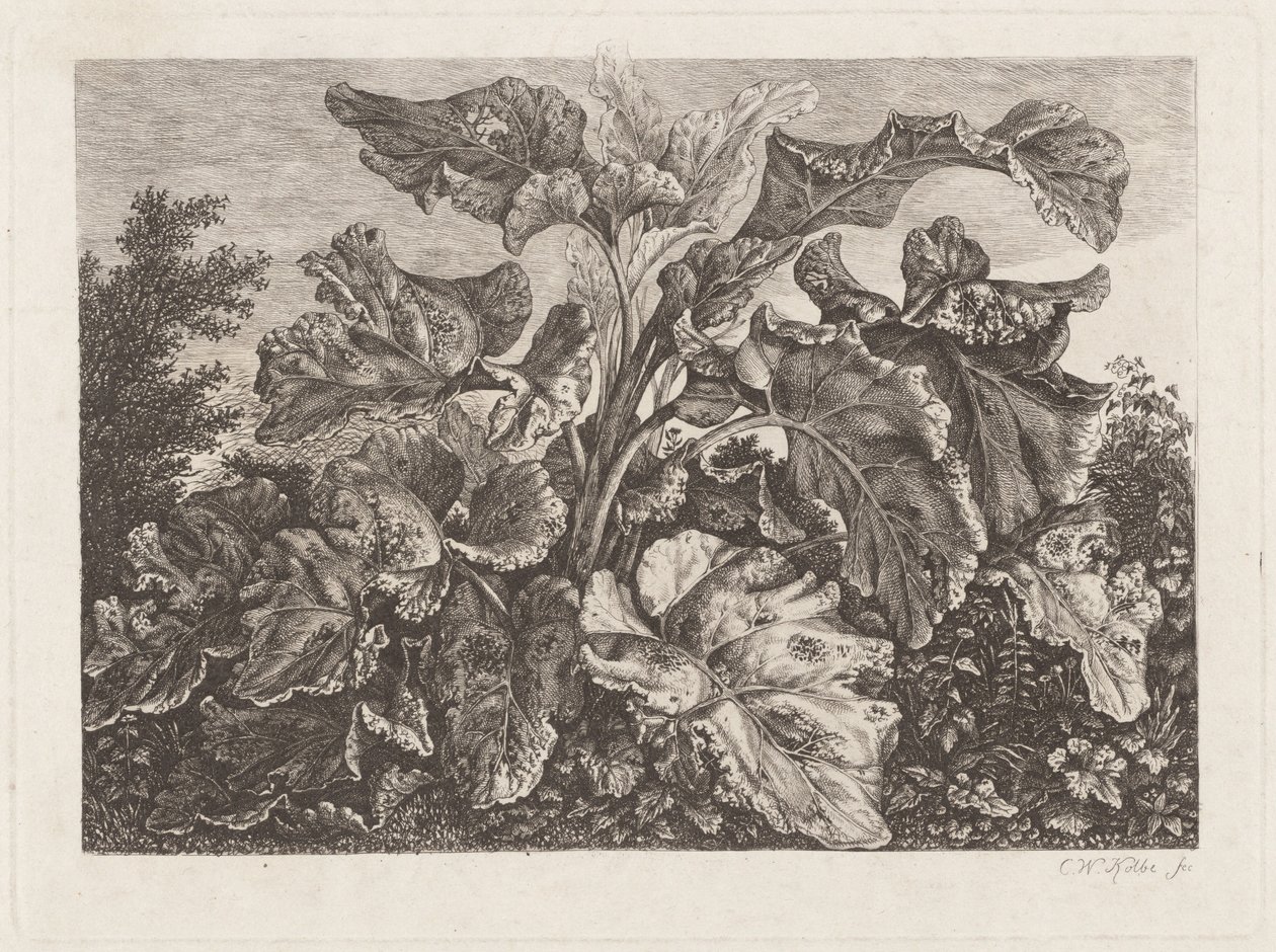 Estudo de plantas com bardana de Carl Wilhelm Kolbe