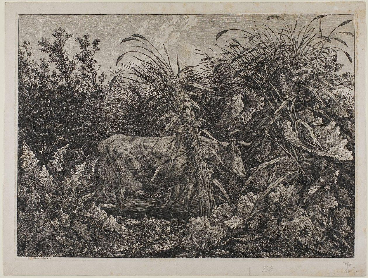 Vaca num riacho de Carl Wilhelm Kolbe the elder