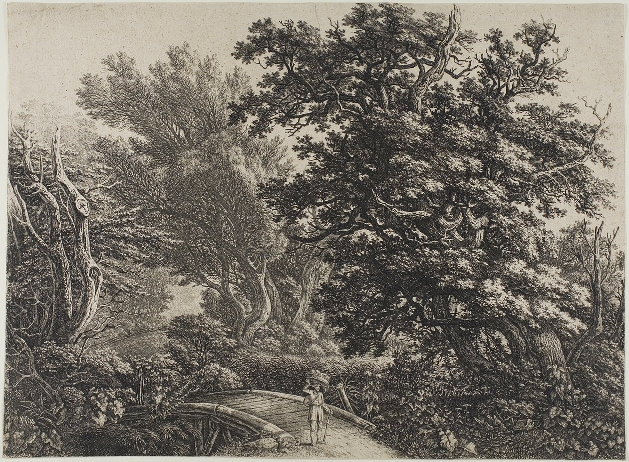Ponte rústica em uma madeira emaranhada de Carl Wilhelm Kolbe, the elder