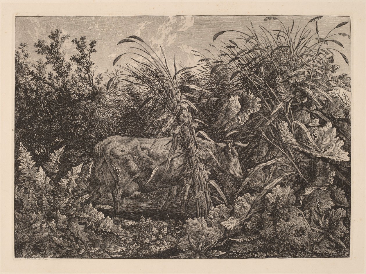 A vaca no pântano de Carl Wilhelm Kolbe, the elder
