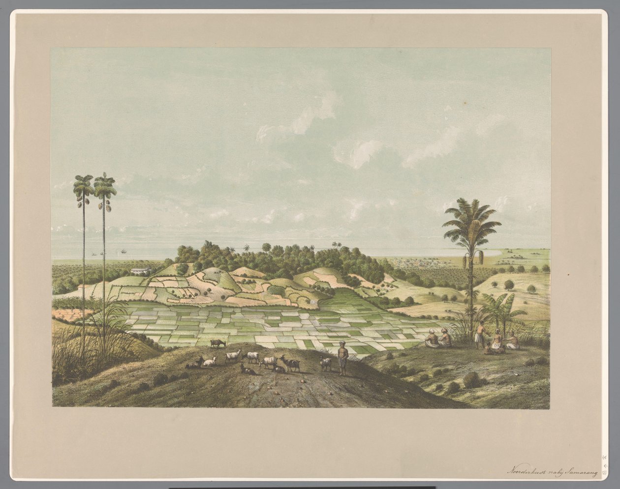 Costa Norte perto de Semarang de Carl Wilhelm Mieling (possibly)