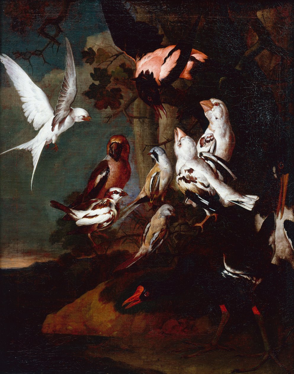 Um Moorhen, andorinha-do-mar, andorinha-do-mar e outras aves numa paisagem de rio arborizado (óleo sobre tela) de Carl Wilhelm de Hamilton