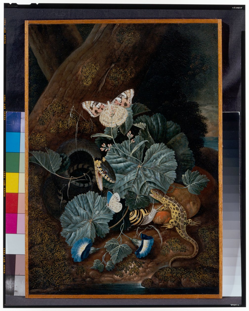 Natureza morta no chão da floresta com caracóis, cobras, lagartos e borboletas de Carl Wilhelm de Hamilton