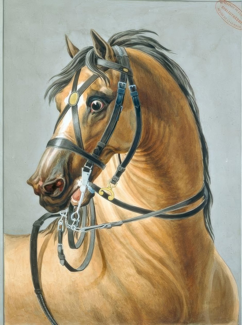 Noiva para cavalos de artilharia de Carle Vernet