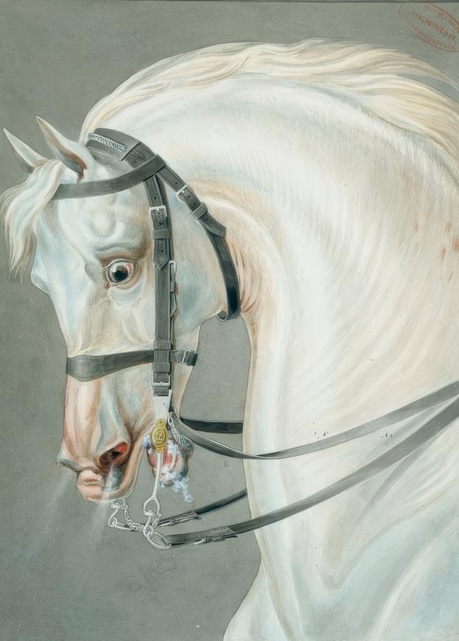 Noiva para cavalos de fuzileiros de Carle Vernet