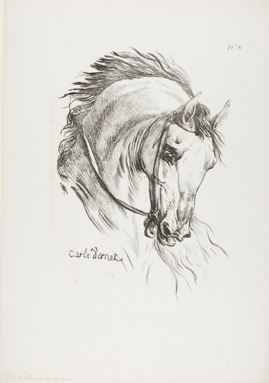 Pormenor da cabeça de um cavalo, ampliada para o triplo, Hussard, Guarda Real, n.º 6 de Carle Vernet