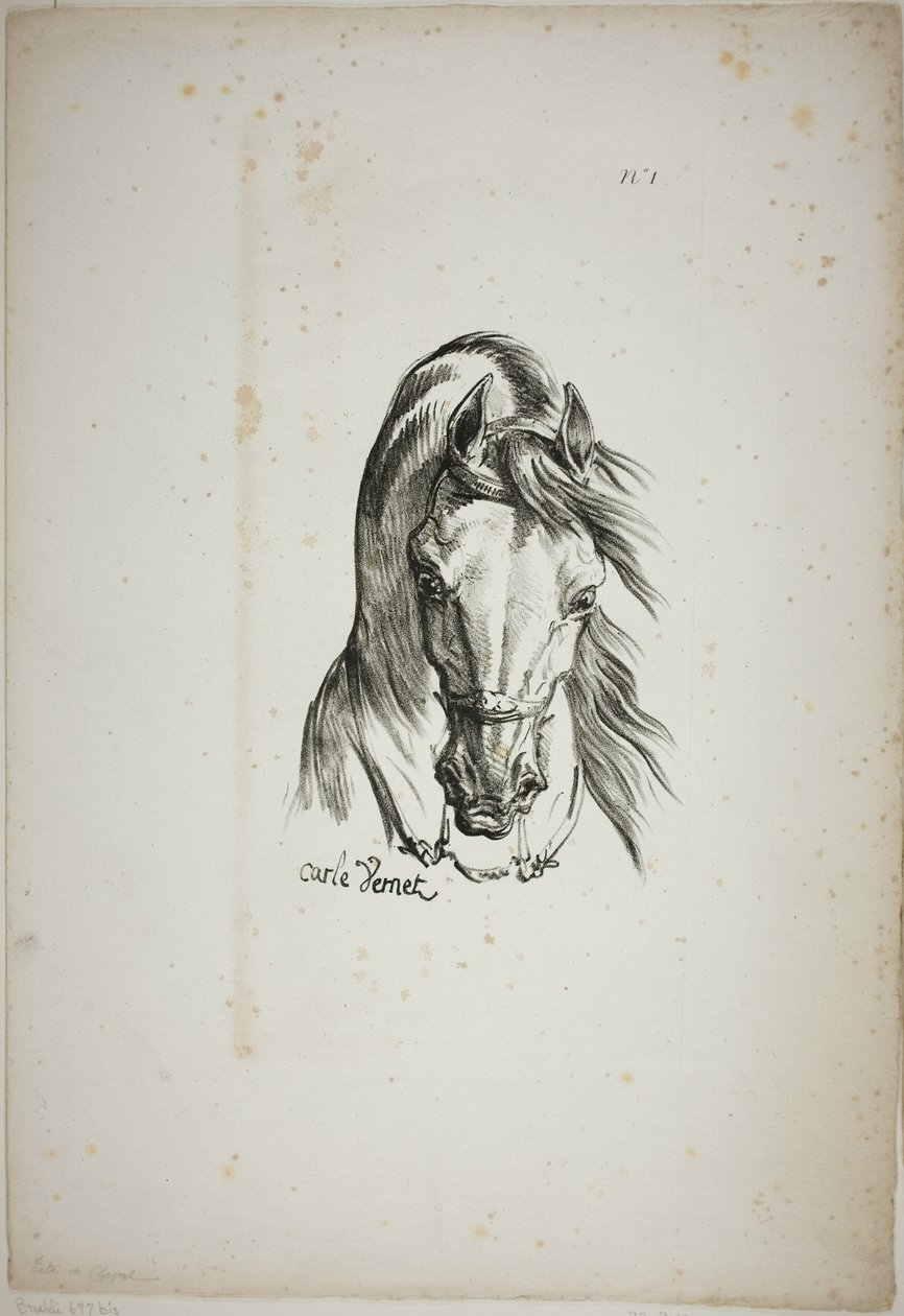 Pormenor da cabeça de um cavalo, ampliada para o triplo, Guarda Real Normanda, n.º 1 de Carle Vernet