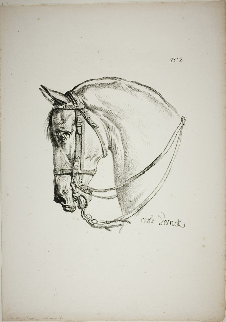 Pormenor da cabeça de cavalo, ampliada para o triplo, Guarda Real normanda, n.º 2 de Carle Vernet