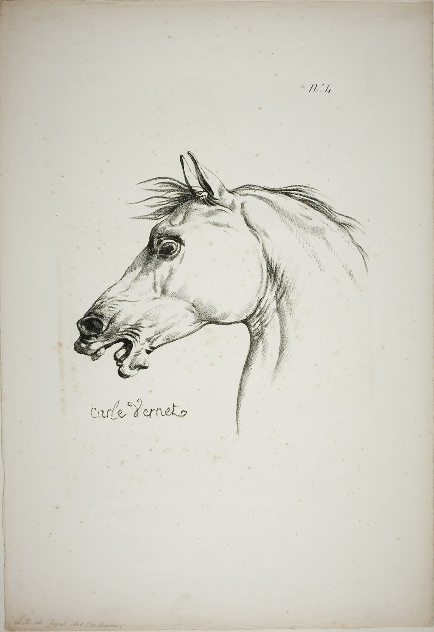 Pormenor da cabeça de um cavalo, ampliada para o triplo, Guarda Real Normanda, n.º 4 de Carle Vernet