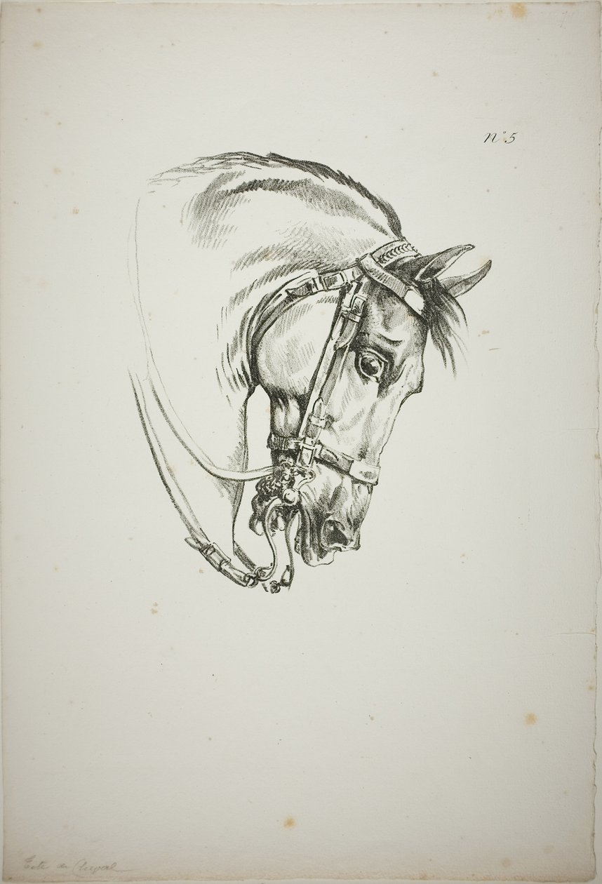 Pormenor da cabeça do cavalo, ampliada para o triplo, Guarda Real Normanda, n.º 5, Primeiro Cavalo de Limoges de Carle Vernet