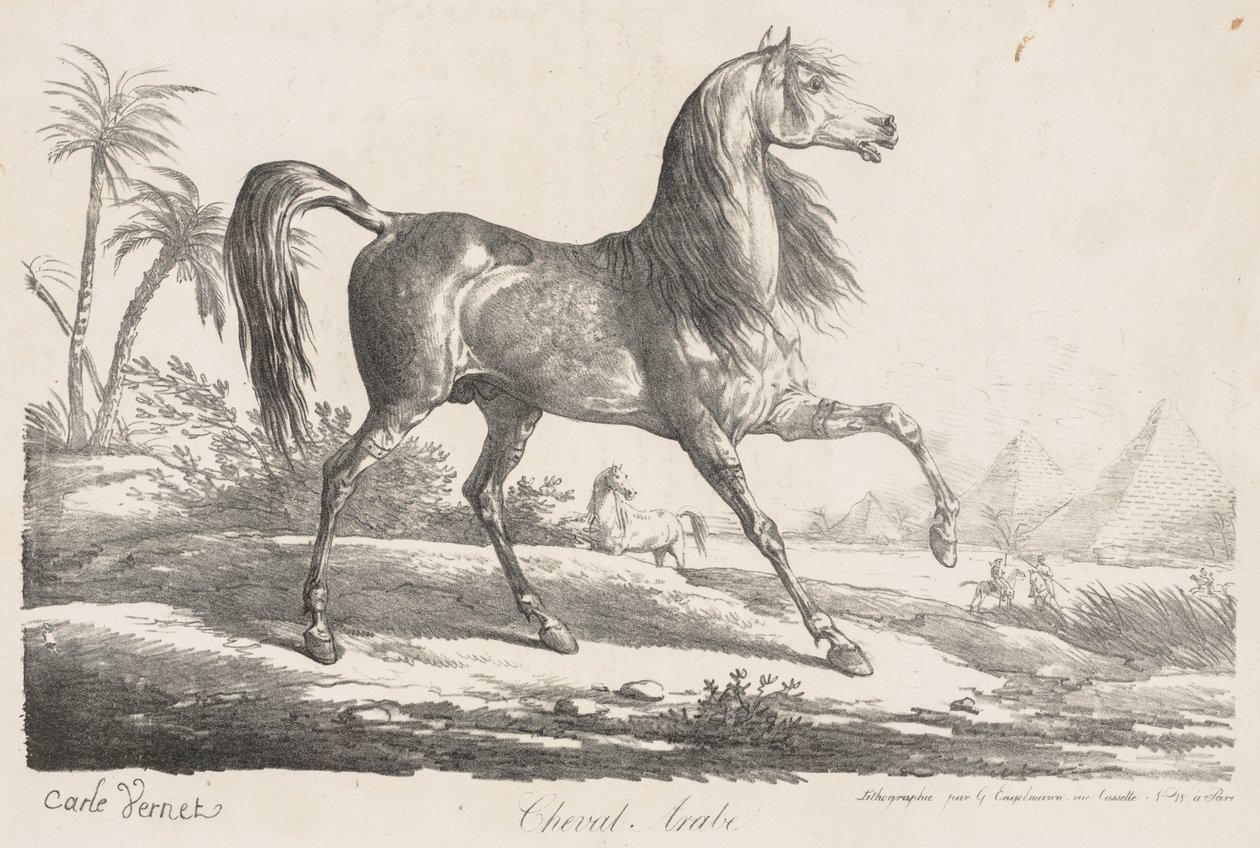 Suíte de Cavalos: Cavalo Árabe de Carle Vernet