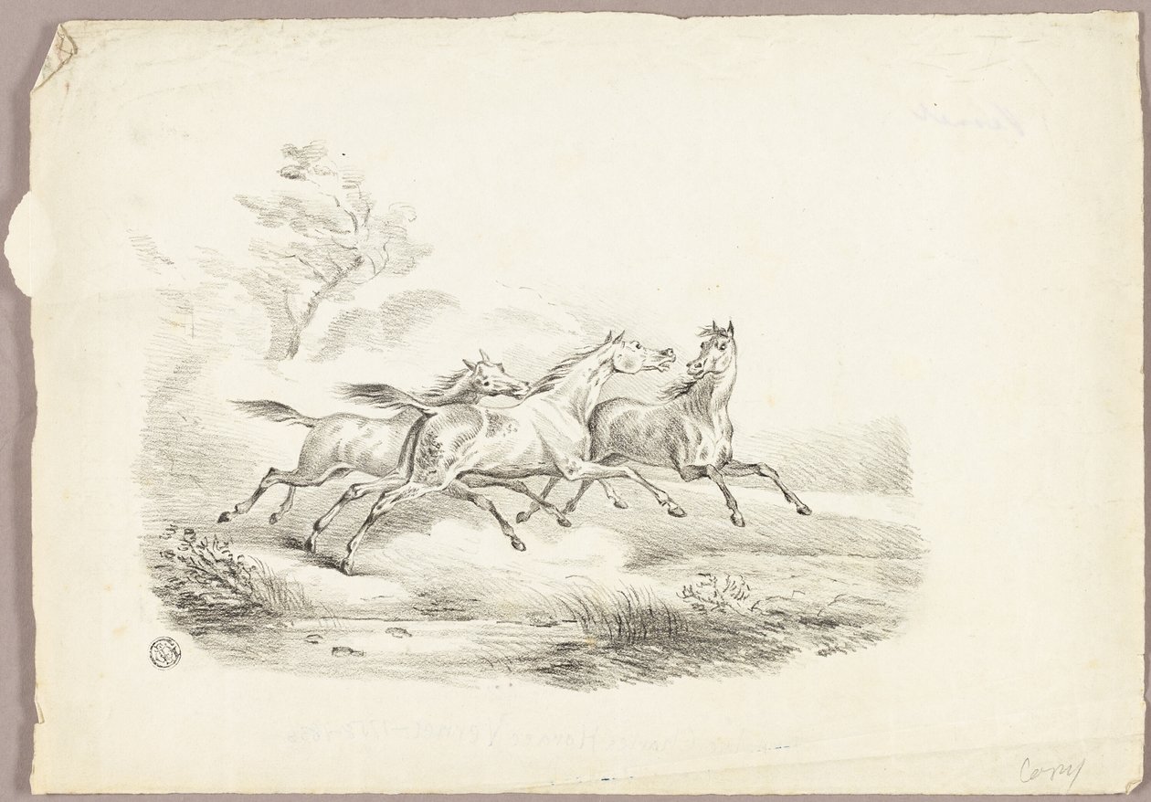 Três cavalos a correr de Carle Vernet