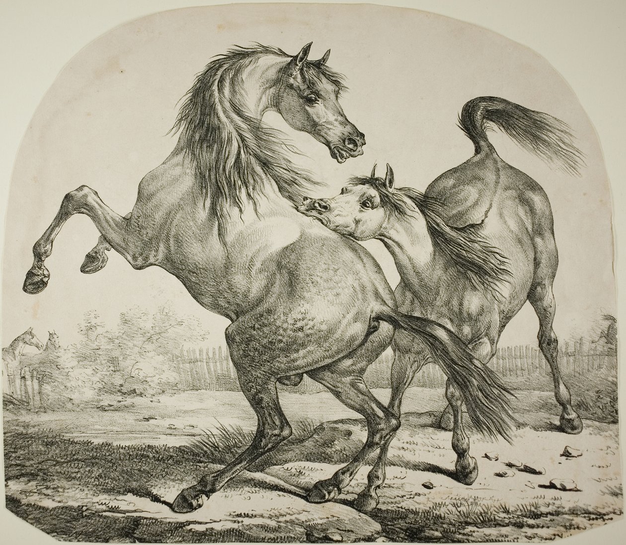 Cavalos selvagens lutando de Carle Vernet