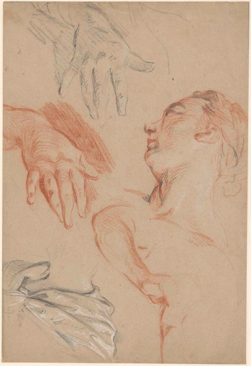 Folha de estudo de Carle van Loo