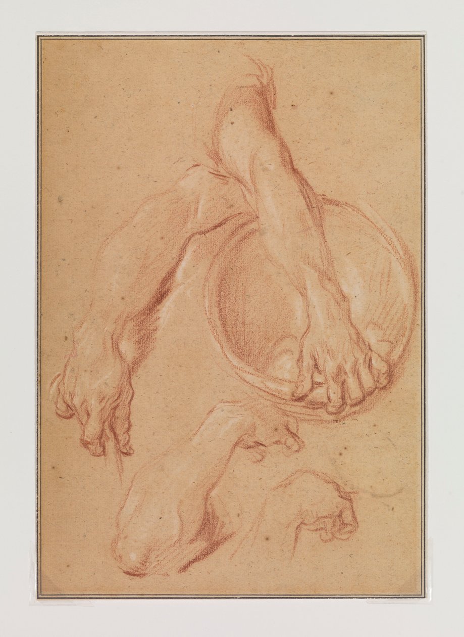 Studien eines Arms de Carle van Loo