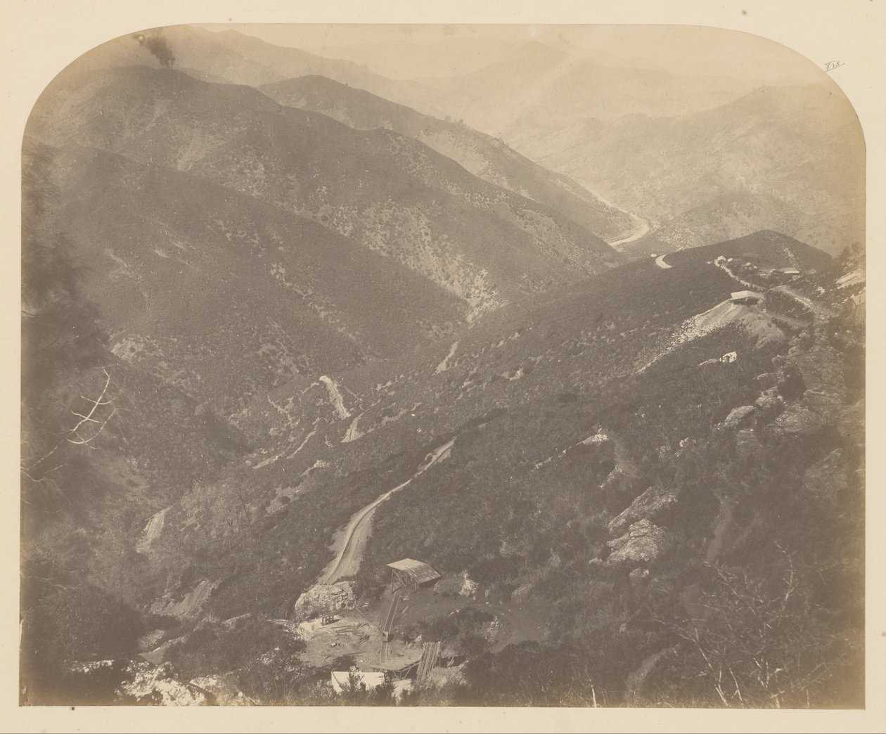 (Josephine e Pine Tree) de Carleton E. Watkins