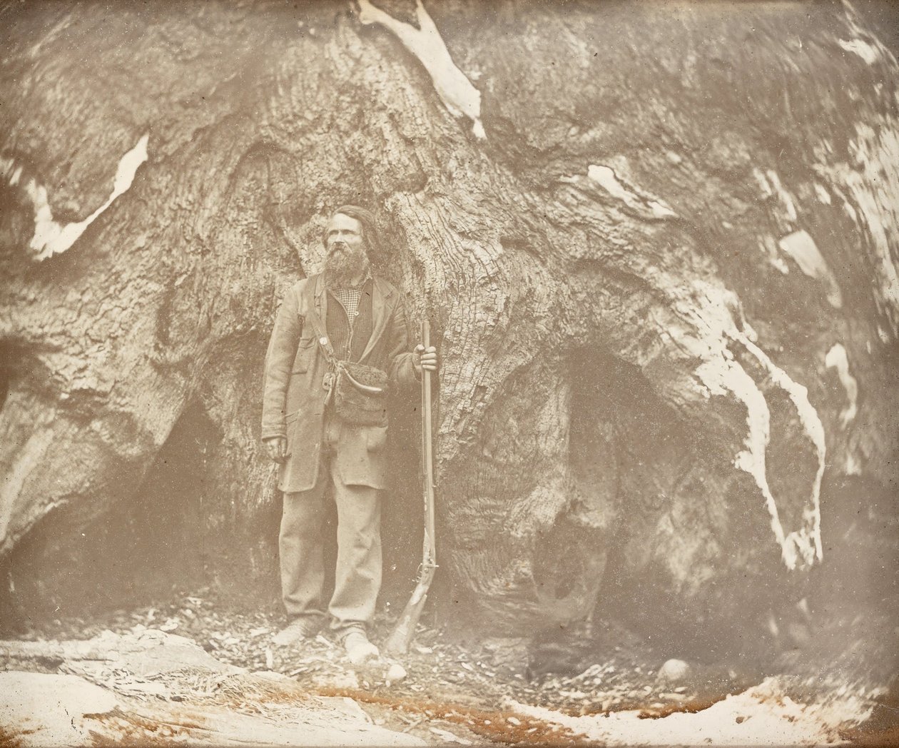 Mariposa Grove. Galen Clark. Retrato de Galen Clark de Carleton E. Watkins