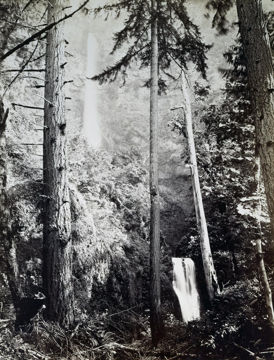 Cataratas Multnomah, Cascatas, Rio Columbia de Carleton E. Watkins