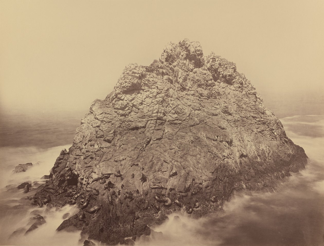 Ilha do Pão de Açúcar, Farallons de Carleton E. Watkins