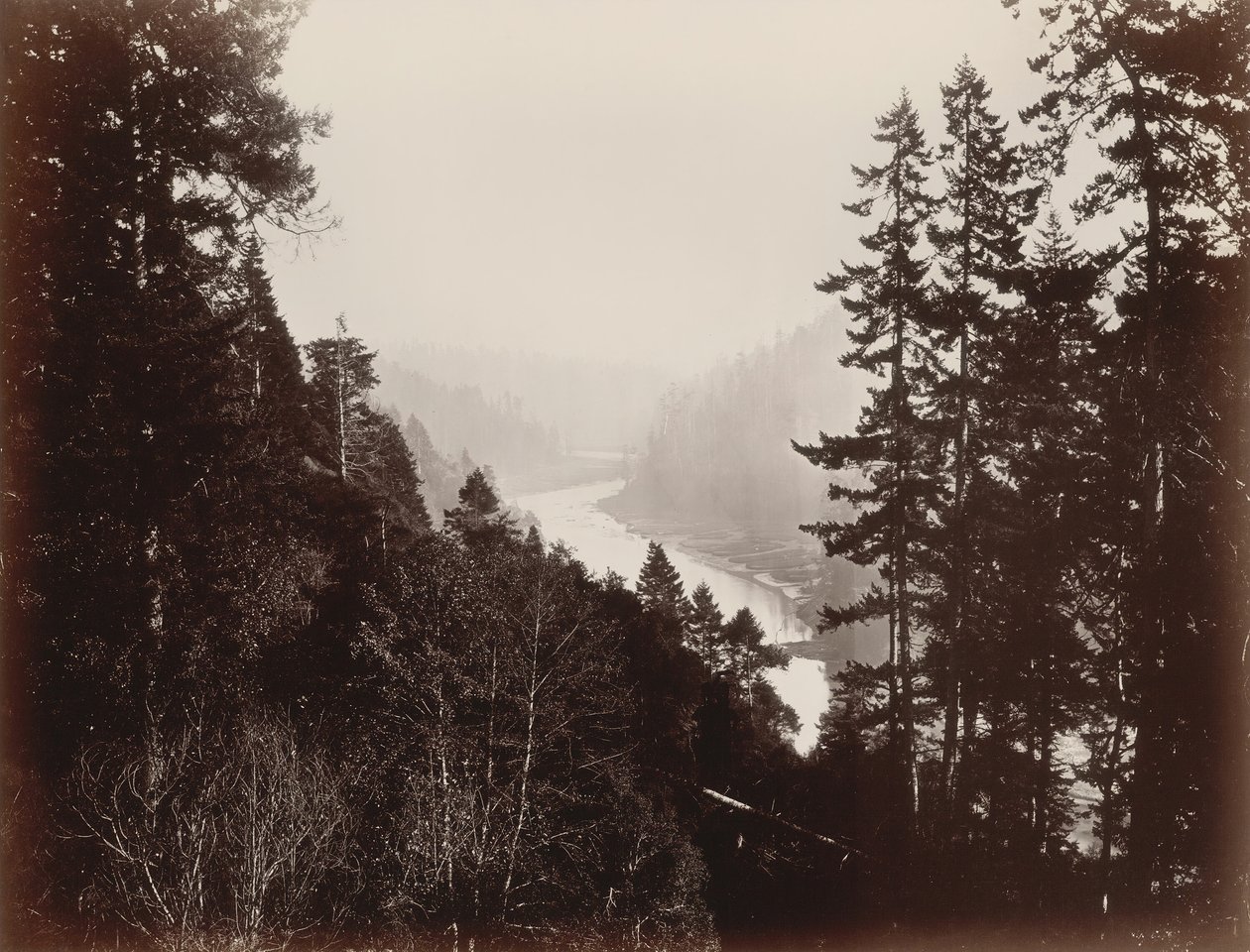 Big River, da Rancherie, Mendocino, Califórnia, 1863. de Carleton Emmons Watkins