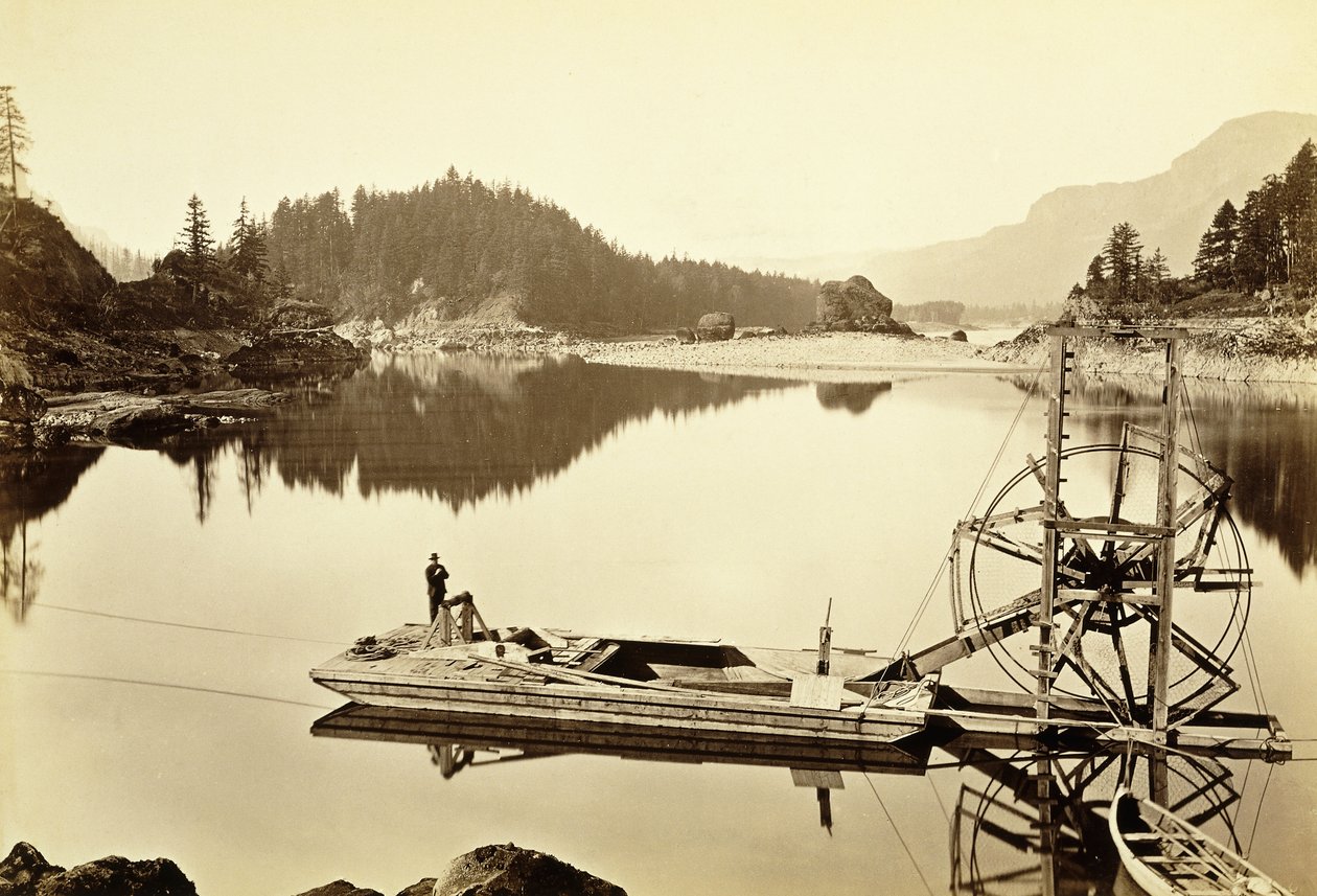 Roda de salmão flutuante, cascatas, 1867 de Carleton E. Watkins