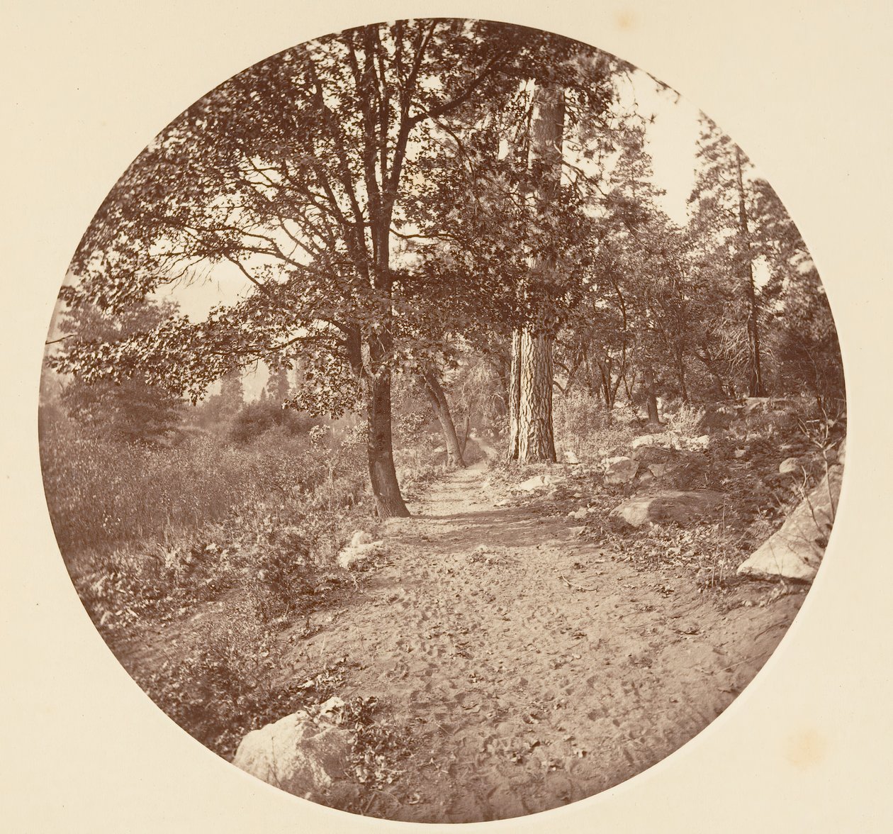 No Vale de Yosemite, ca. 1878. de Carleton Emmons Watkins