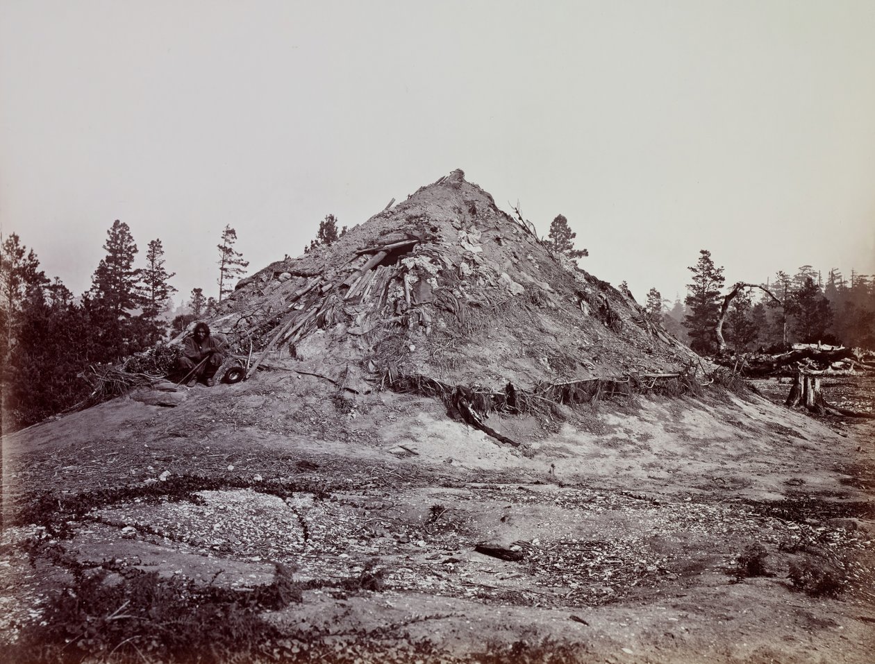 Indian Sweat House, Condado de Mendocino, Califórnia, 1863. de Carleton Emmons Watkins