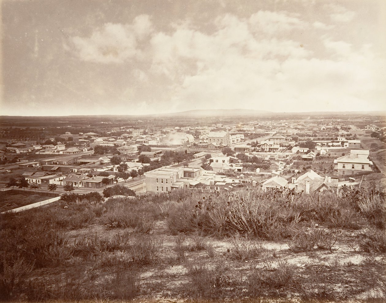 Floresta. de Carleton Emmons Watkins