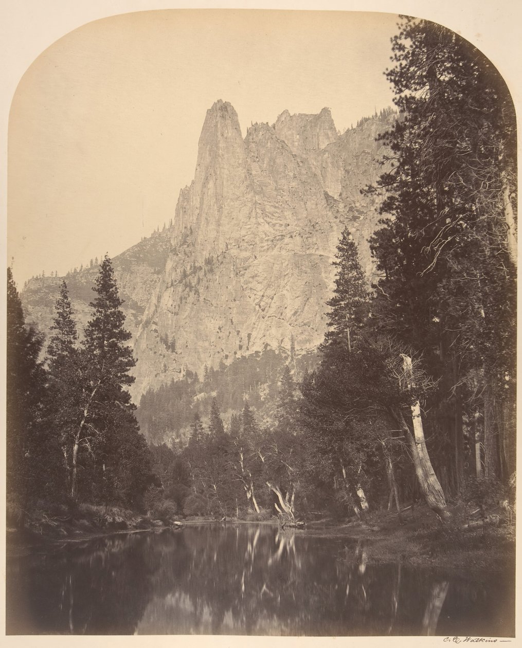 Floresta. de Carleton Emmons Watkins
