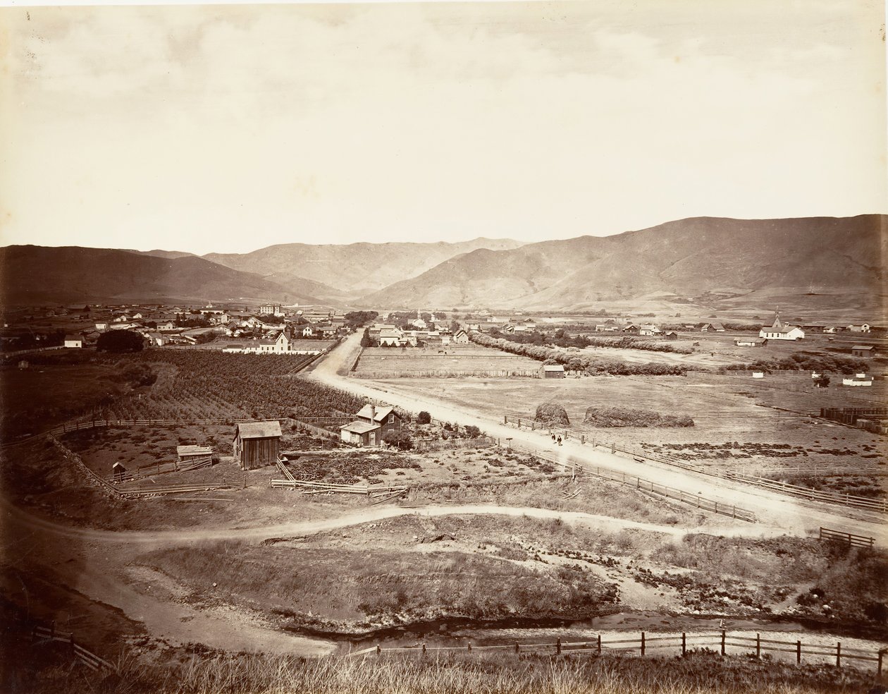 Floresta. de Carleton Emmons Watkins