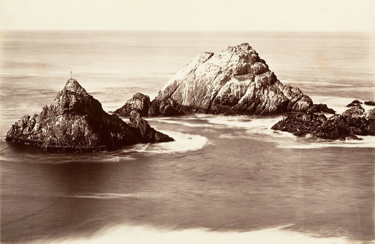 Seal Rocks, 1868-69, impresso ca. 1876. de Carleton Emmons Watkins