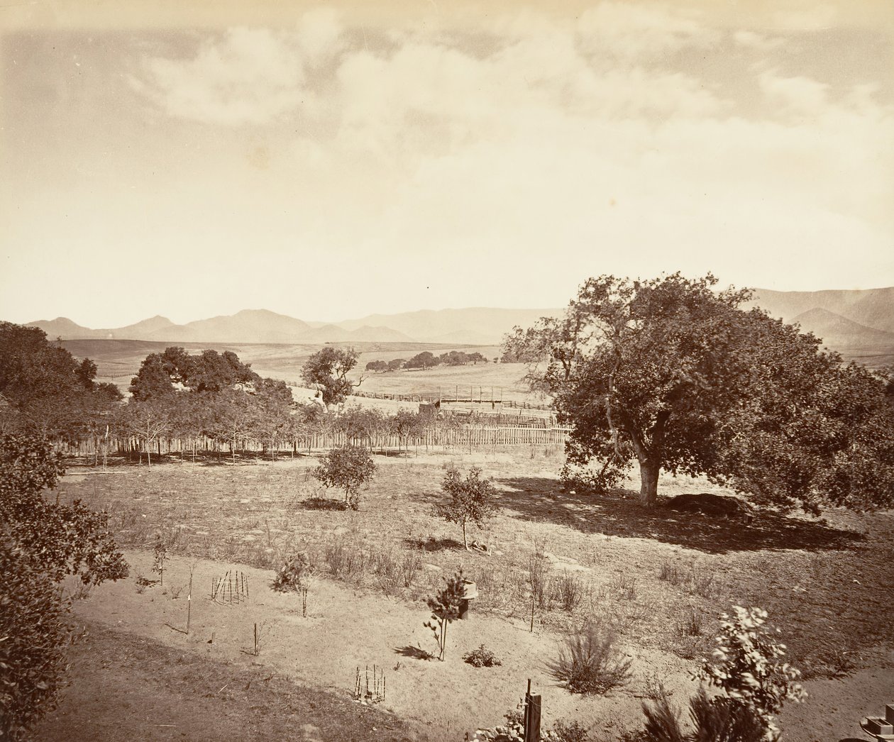 Rancho do Aço, San Luis Obispo, 1876, impresso ca. 1876. de Carleton Emmons Watkins