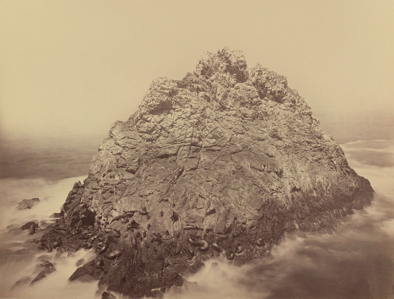Ilha do Pão de Açúcar, Farallons, 1868/1869 (foto) de Carleton Emmons Watkins