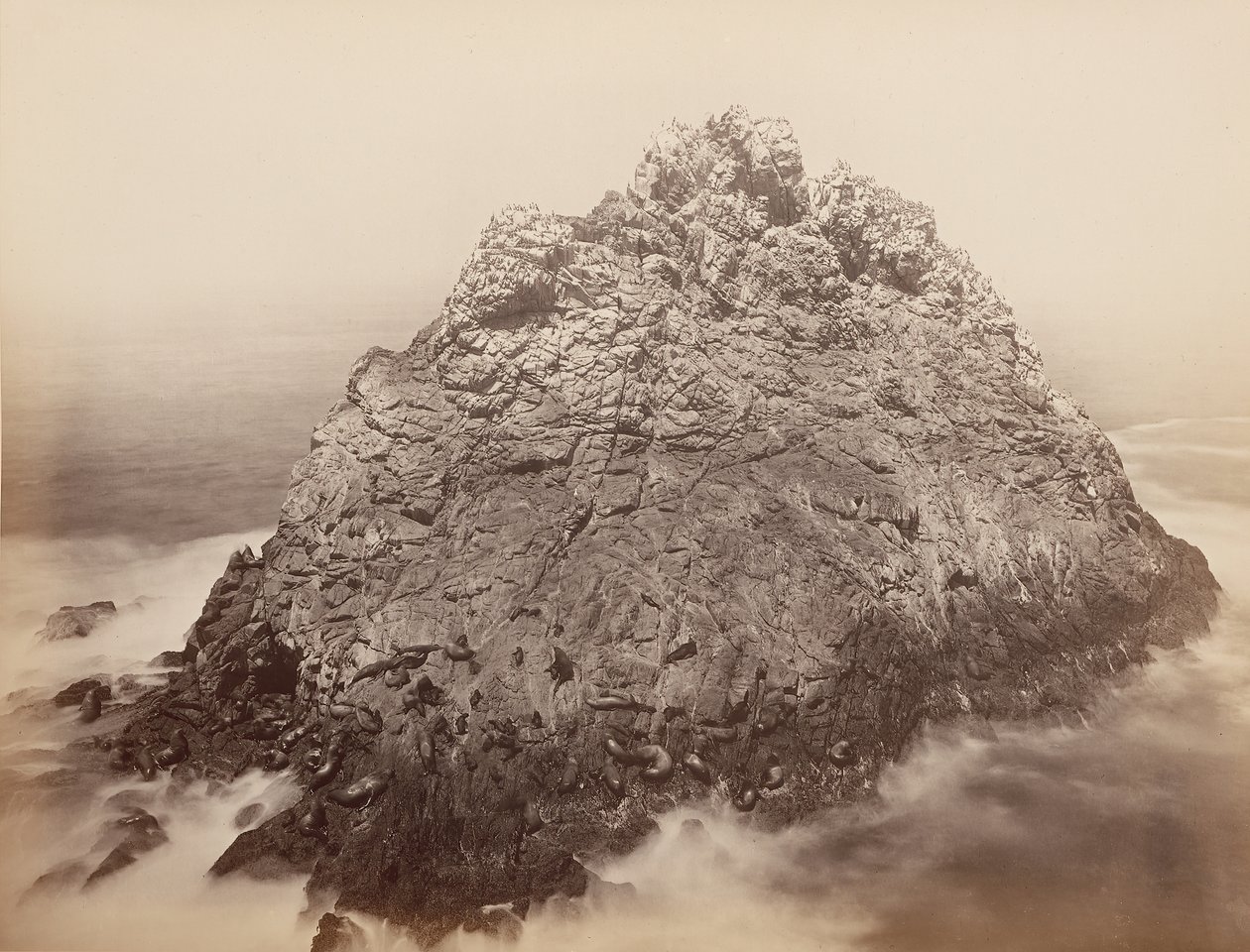 Floresta. de Carleton Emmons Watkins