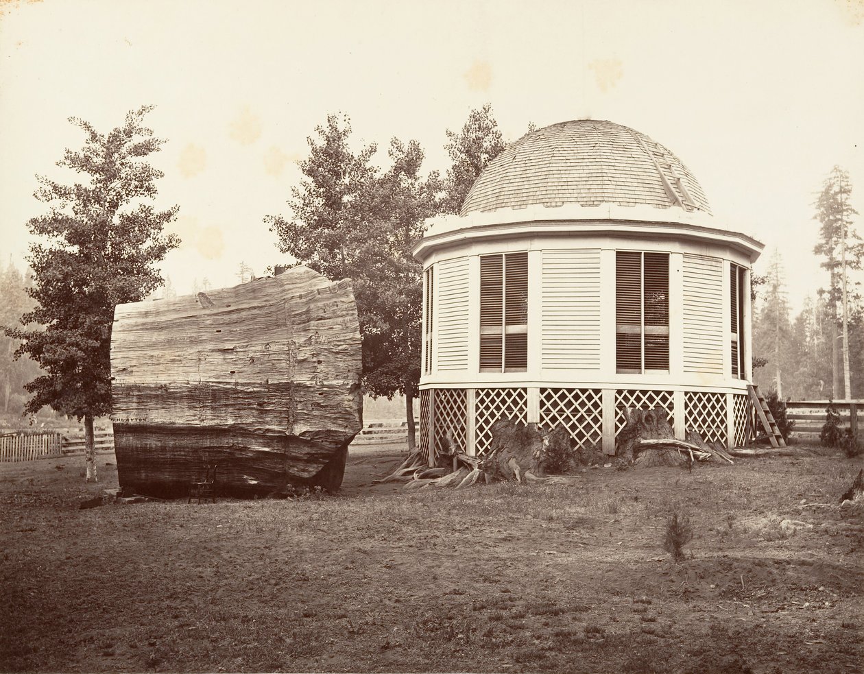 Floresta. de Carleton Emmons Watkins