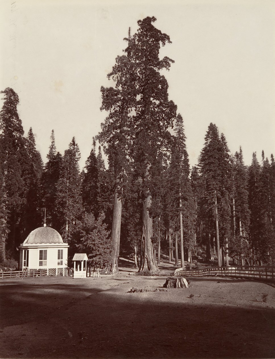 The Sentinel, 315 pés, 1865-66, impresso ca. 1876. de Carleton Emmons Watkins