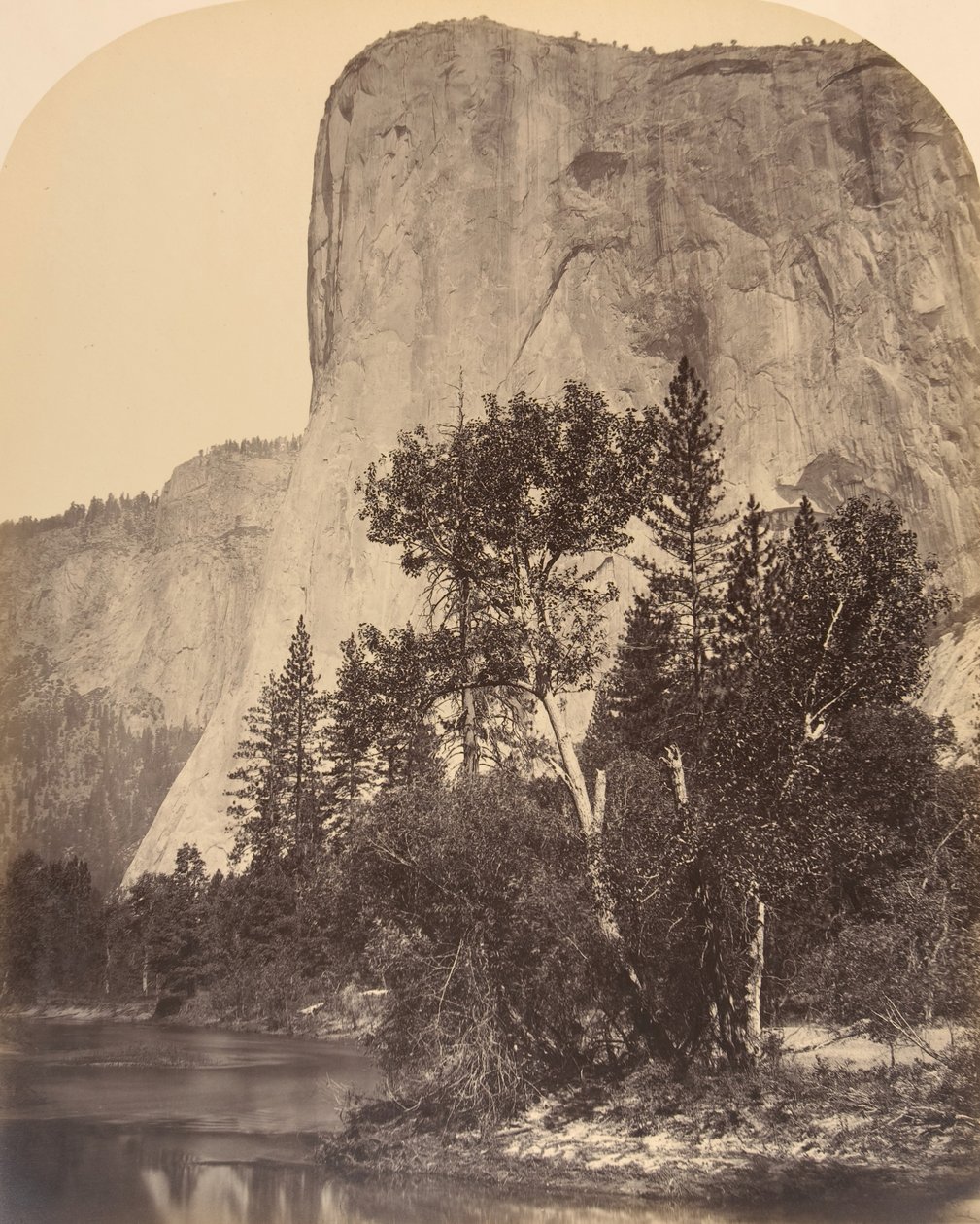 Floresta. de Carleton Emmons Watkins