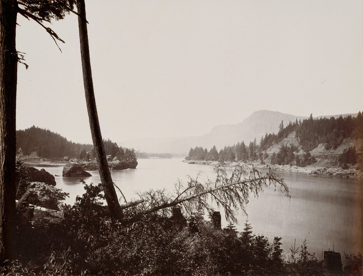 Vista na Columbia, Cascades, 1867. de Carleton Emmons Watkins