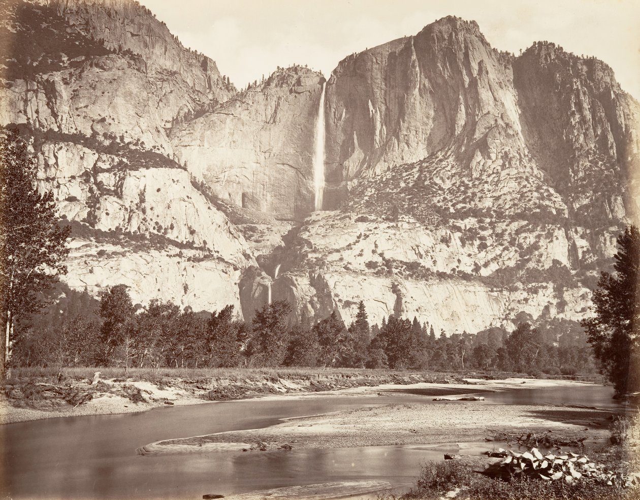 Floresta. de Carleton Emmons Watkins