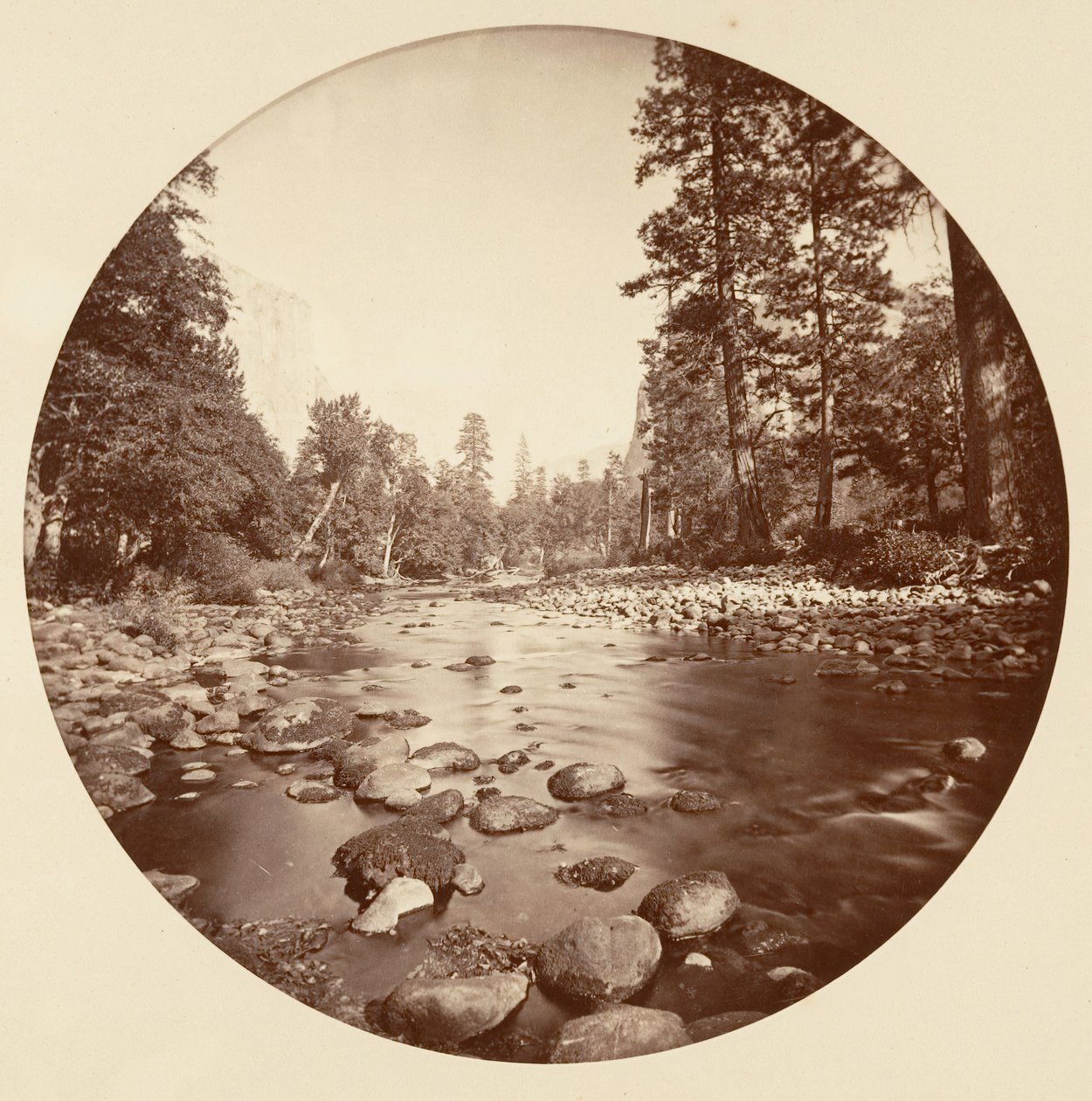 Floresta. de Carleton Emmons Watkins