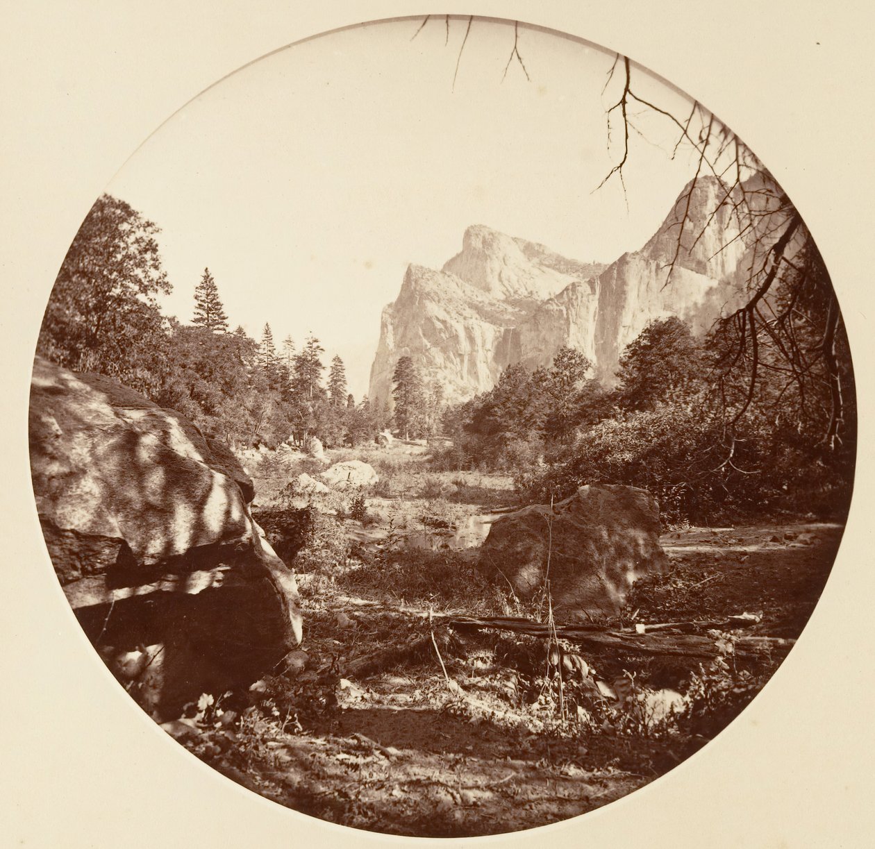 Floresta. de Carleton Emmons Watkins