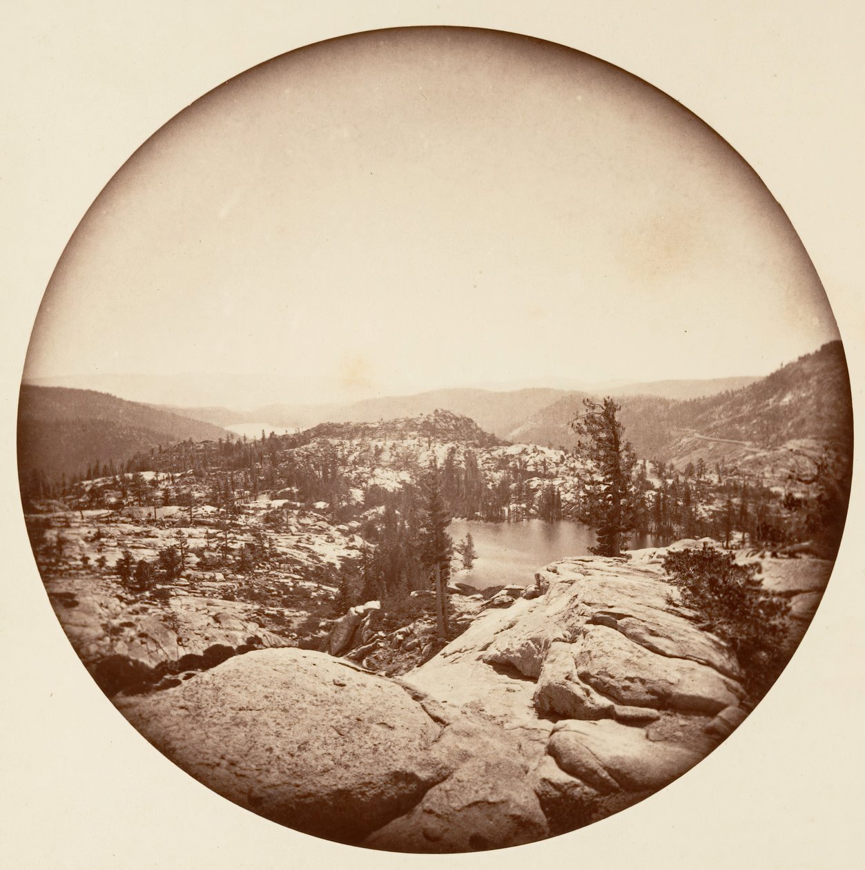 Floresta. de Carleton Emmons Watkins