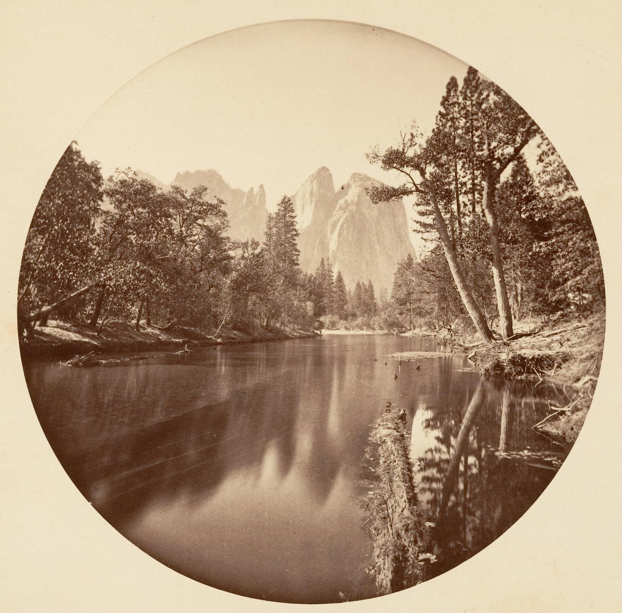 Floresta. de Carleton Emmons Watkins