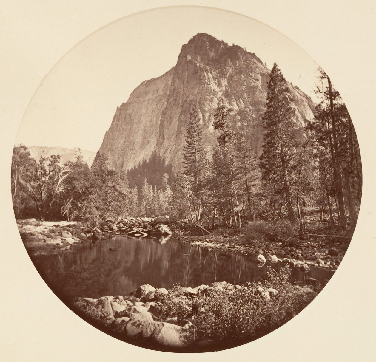 Floresta. de Carleton Emmons Watkins