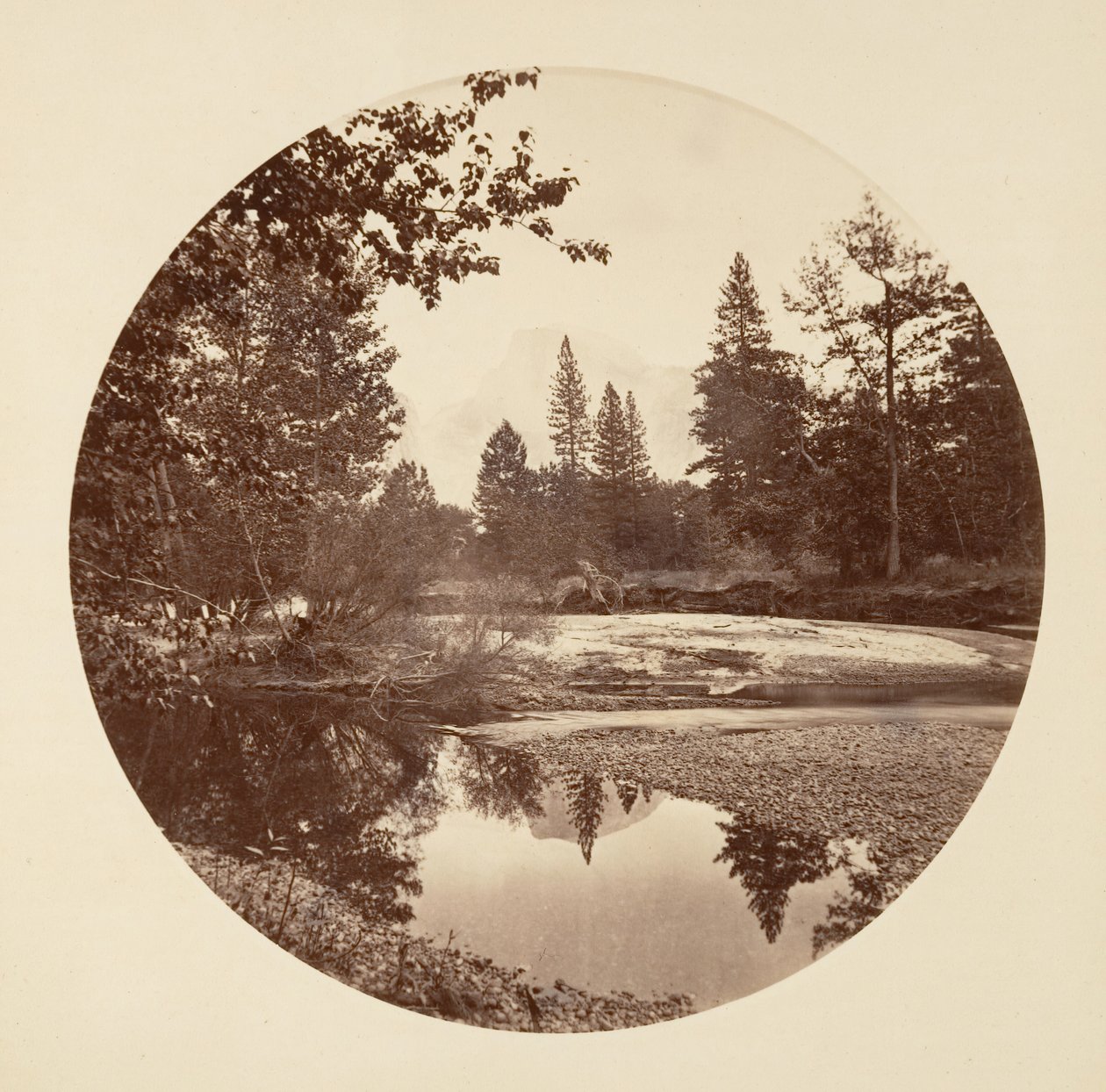 Floresta. de Carleton Emmons Watkins