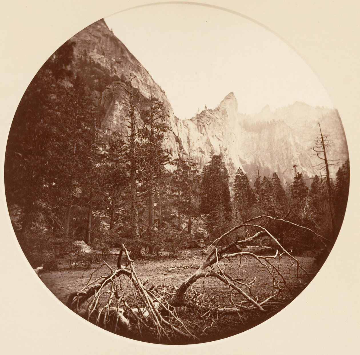 [Parque Nacional de Yosemite, Califórnia], c. 1878. de Carleton Emmons Watkins