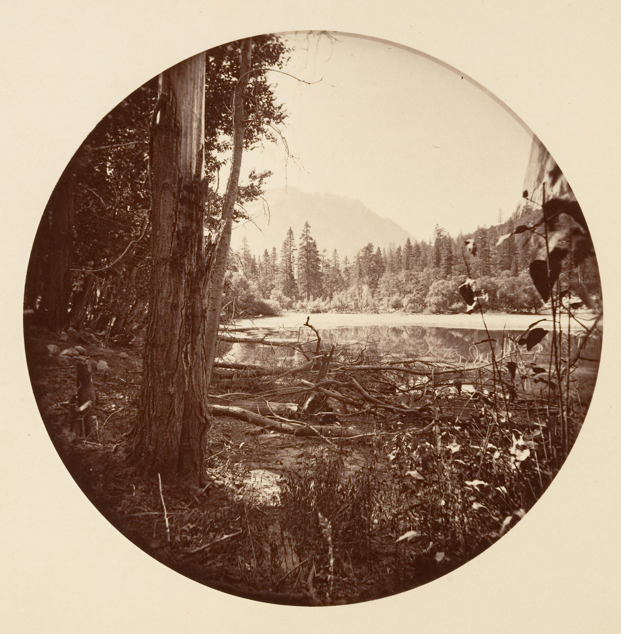 [Parque Nacional de Yosemite, Califórnia], c. 1878. de Carleton Emmons Watkins