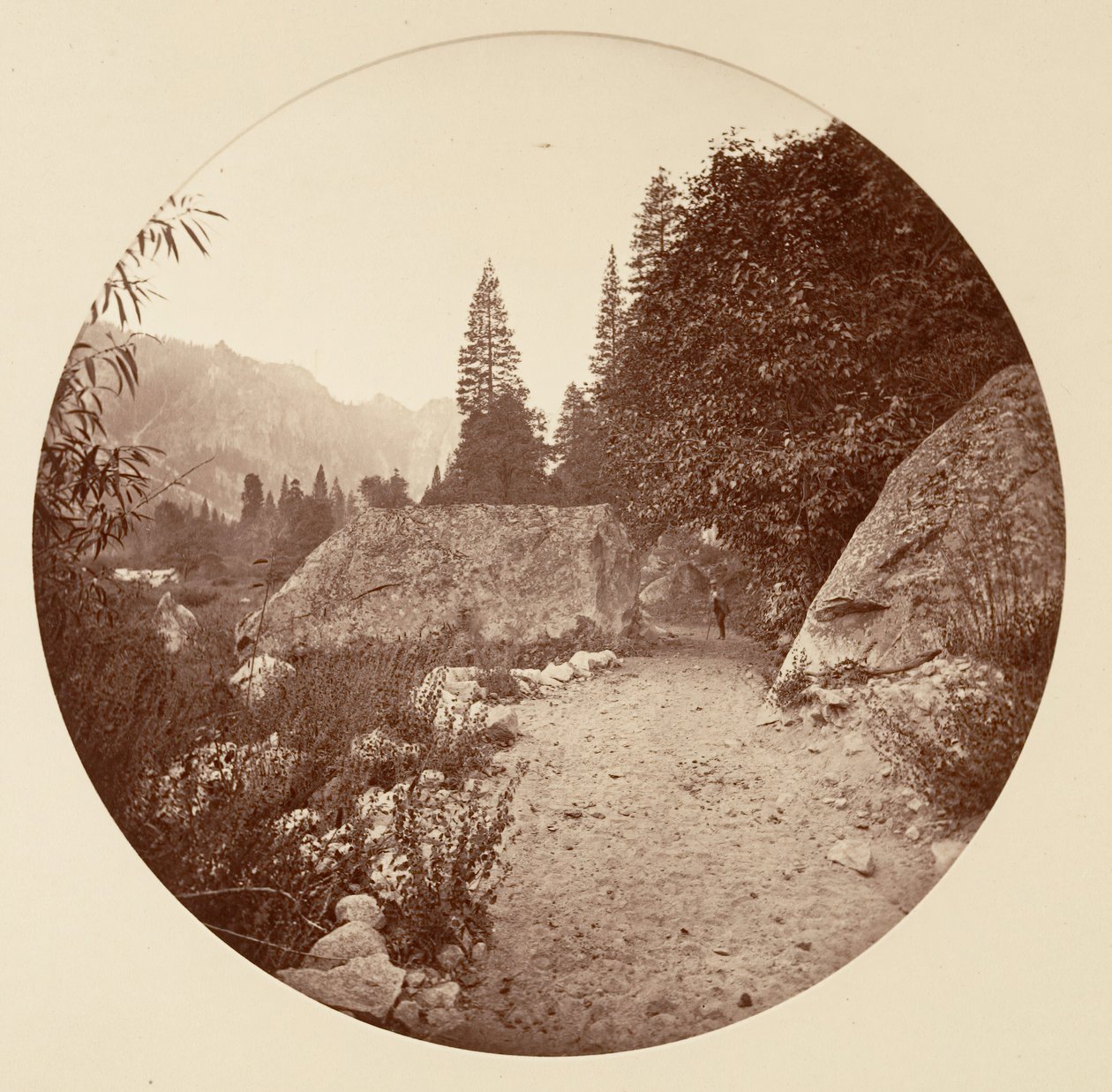 [Parque Nacional de Yosemite, Califórnia], c. 1878. de Carleton Emmons Watkins
